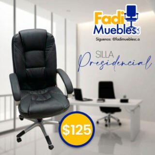 Silla Presidencial